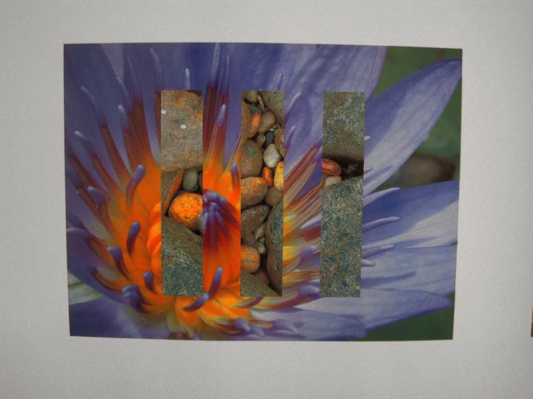 Digital image IRC.2013.01581 showing Dan Boyarski's installation, Colorful Juxtapositions, at the Mattress Factory, 2003.