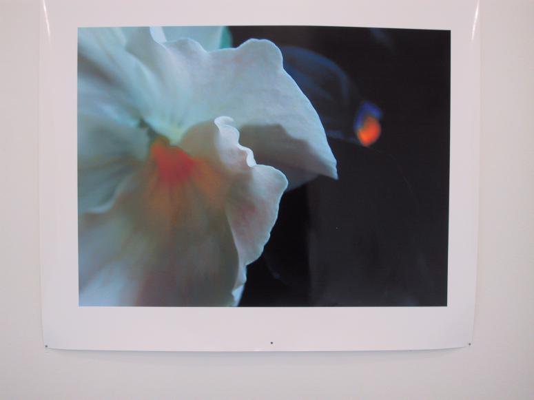 Digital image IRC.2013.01575 showing Dan Boyarski's installation, Colorful Juxtapositions, at the Mattress Factory, 2003.