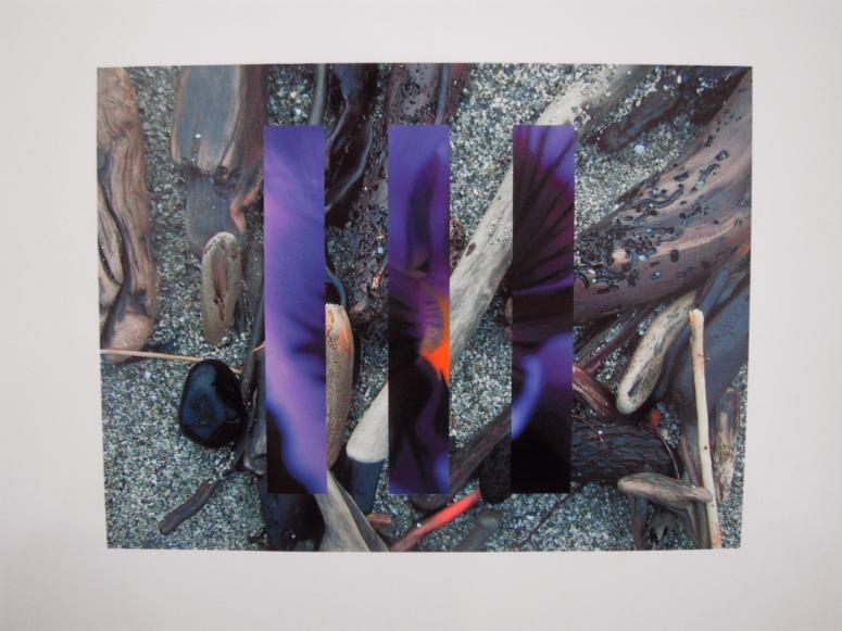 Digital image IRC.2013.01576 showing Dan Boyarski's installation, Colorful Juxtapositions, at the Mattress Factory, 2003.