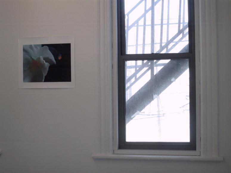 Digital image IRC.2013.01572 showing Dan Boyarski's installation, Colorful Juxtapositions, at the Mattress Factory, 2003.