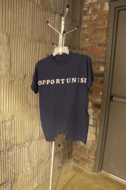 Digital image IRC.2013.01397 showing boice-Terrel Allen's installation, Rattlecat Museum, at the Mattress Factory, 2005.