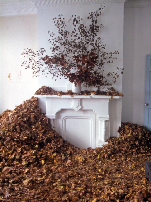 slide IRC.2012.00464 (old number: BED.T-F003) showing Tom Bedger's installation, Fall, at the Mattress Factory, 2001.