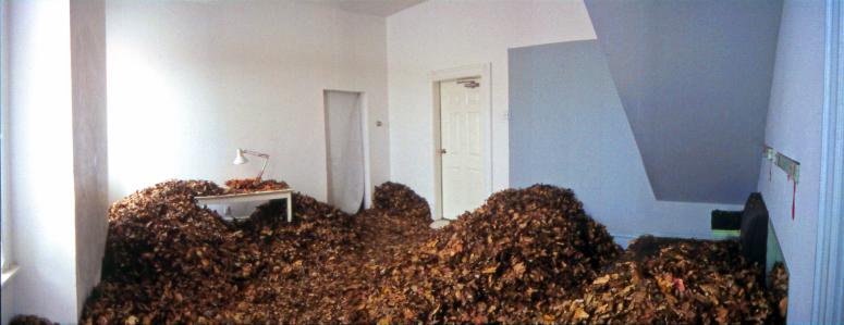 slide IRC.2012.00462 showing Tom Bedger's installation, Fall [left], and Allan Wexler's permanent installation, Bed-Sitting Room for Artist in Residence [right], at the Mattress Factory, 2001.