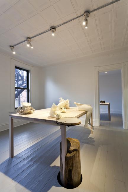 Installation Photograph Depicting Janine Antoni, <em>Graft</em>, 2013 at the Mattress Factory