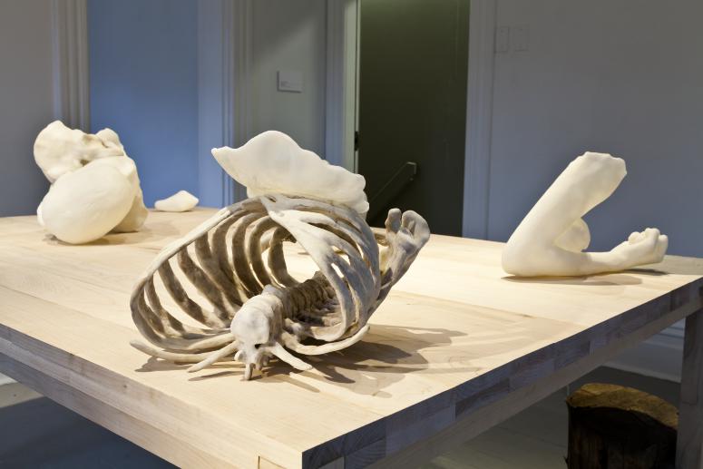 Installation Photograph Depicting Janine Antoni, <em>Graft</em>, 2013 at the Mattress Factory