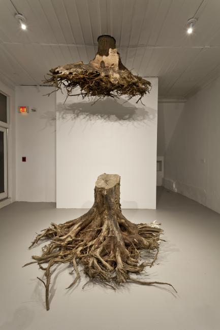 Installation Photograph Depicting Janine Antoni, <em>Graft</em>, 2013 at the Mattress Factory