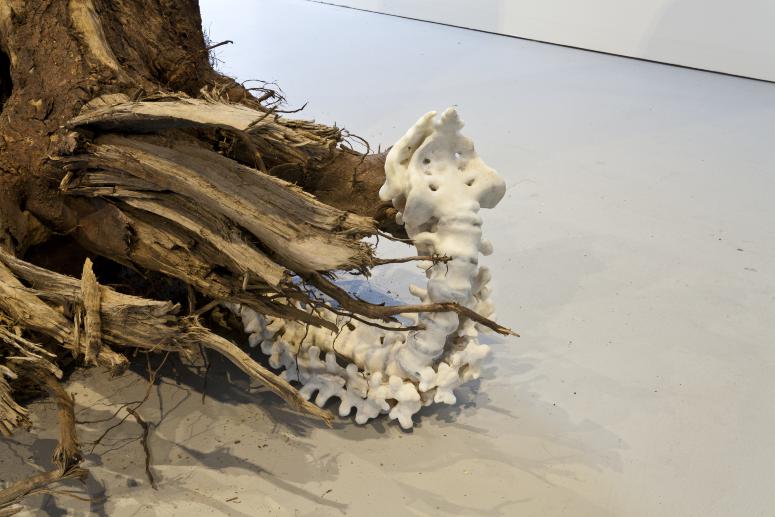 Installation Photograph Depicting Janine Antoni, <em>Graft</em>, 2013 at the Mattress Factory