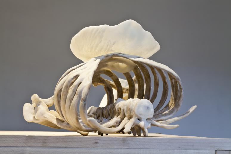 Installation Photograph Depicting Janine Antoni, <em>Graft</em>, 2013 at the Mattress Factory