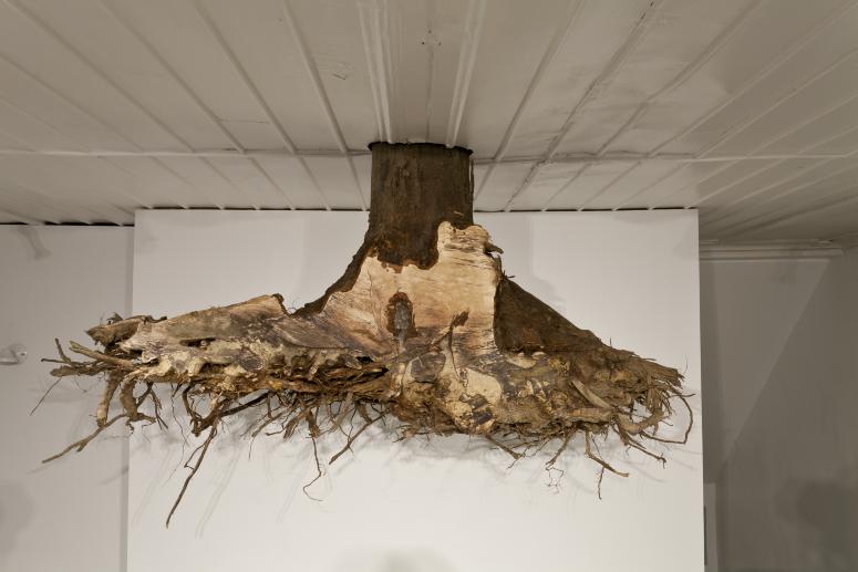 Installation Photograph Depicting Janine Antoni, <em>Graft</em>, 2013 at the Mattress Factory
