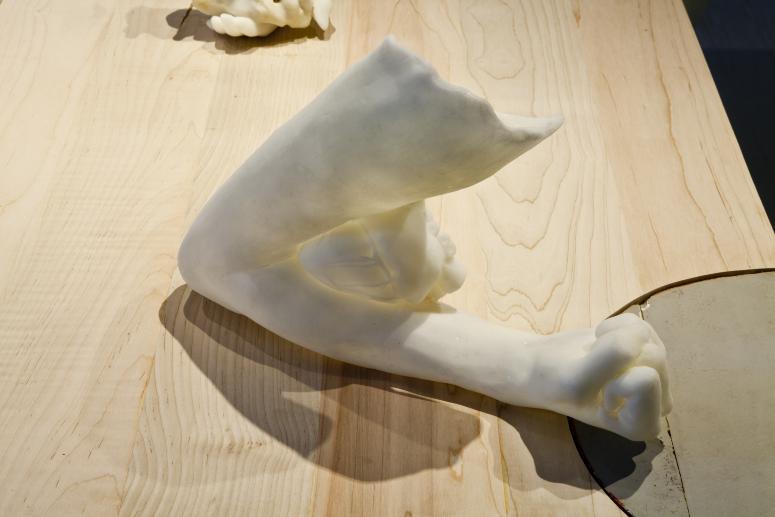 Installation Photograph Depicting Janine Antoni, <em>Graft</em>, 2013 at the Mattress Factory