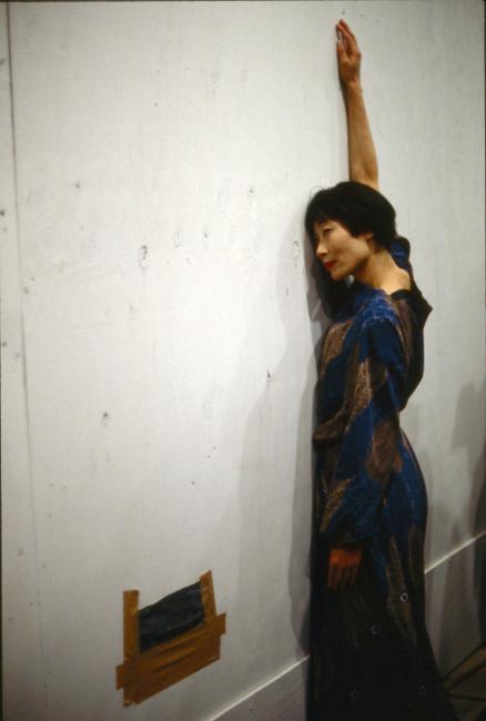 Junko Wado, <em>A-N-M-F (3 fields)</em>, 2001
