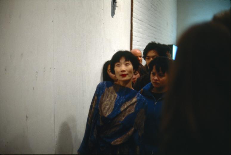 Photograph Depicting Junko Wado, <em>A-N-M-F (3 fields)</em>, 2001 at the Mattress Factory