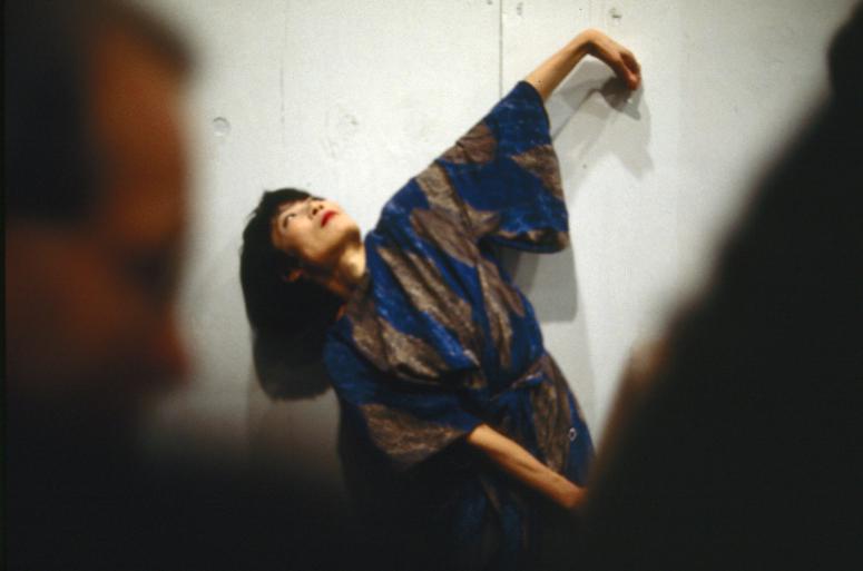 Photograph Depicting Junko Wado, <em>A-N-M-F (3 fields)</em>, 2001 at the Mattress Factory
