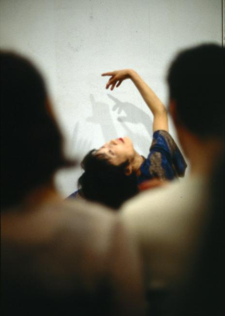 Photograph Depicting Junko Wado, <em>A-N-M-F (3 fields)</em>, 2001 at the Mattress Factory