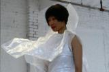 Photograph Depicting Junko Wado, <em>A-N-M-F (3 fields)</em>, 2001 at the Mattress Factory