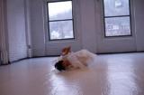 Photograph Depicting Junko Wado, <em>A-N-M-F (3 fields)</em>, 2001 at the Mattress Factory