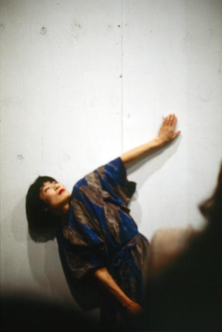 Photograph Depicting Junko Wado, <em>A-N-M-F (3 fields)</em>, 2001 at the Mattress Factory