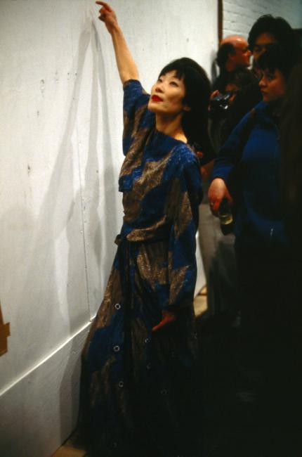 Photograph Depicting Junko Wado, <em>A-N-M-F (3 fields)</em>, 2001 at the Mattress Factory