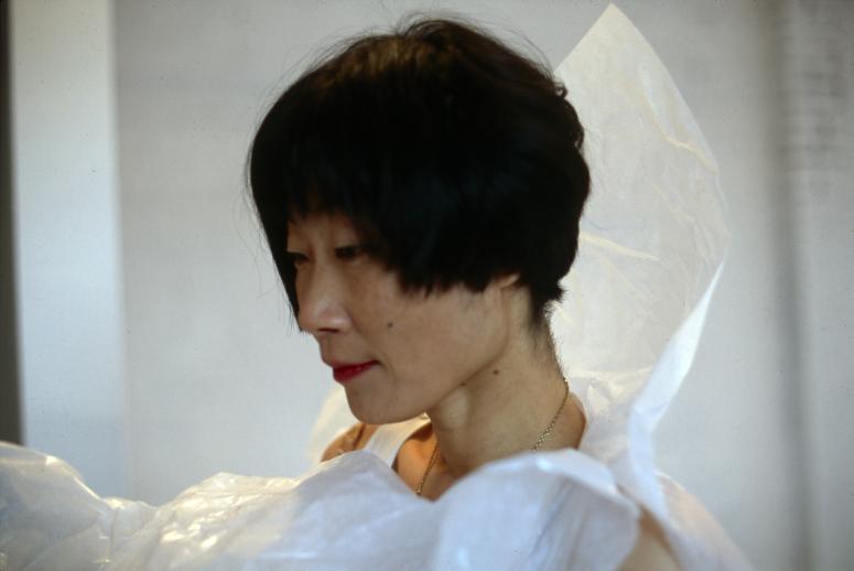 Photograph Depicting Junko Wado, <em>A-N-M-F (3 fields)</em>, 2001 at the Mattress Factory