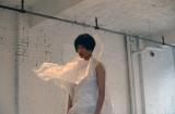 Photograph Depicting Junko Wado, <em>A-N-M-F (3 fields)</em>, 2001 at the Mattress Factory