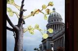 Alexis Esquivel, <em>The Tree of Science in the Garden of the Republic</em>, 2010 