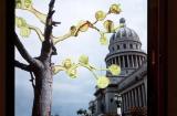 Alexis Esquivel, <em>The Tree of Science in the Garden of the Republic</em>, 2010