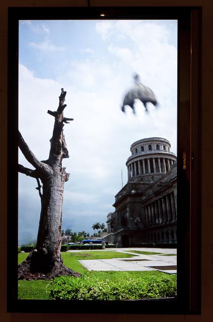 Alexis Esquivel, <em>The Tree of Science in the Garden of the Republic</em>, 2010
