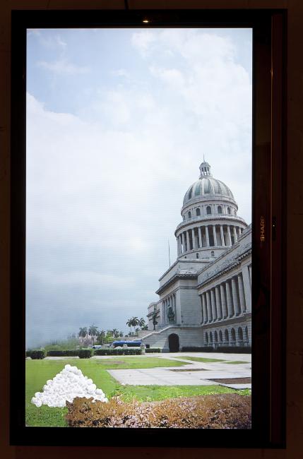 Alexis Esquivel, <em>The Tree of Science in the Garden of the Republic</em>, 2010