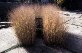 Winifred Lutz, <em>Garden Installation</em>, 1993