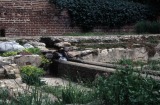 Winifred Lutz, <em>Garden Installation</em>, 1993