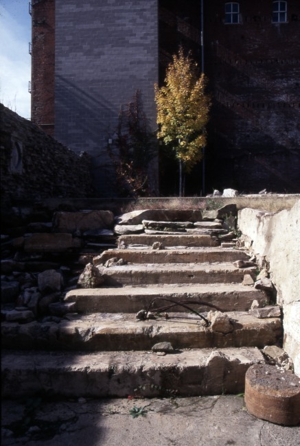 Winifred Lutz, <em>Garden Installation</em>, 1993
