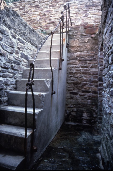 Winifred Lutz, <em>Garden Installation</em>, 1993