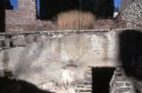 Winifred Lutz, <em>Garden Installation</em>, 1993