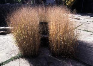 TOOLKIT: TIME CHANGE<br />
&nbsp;