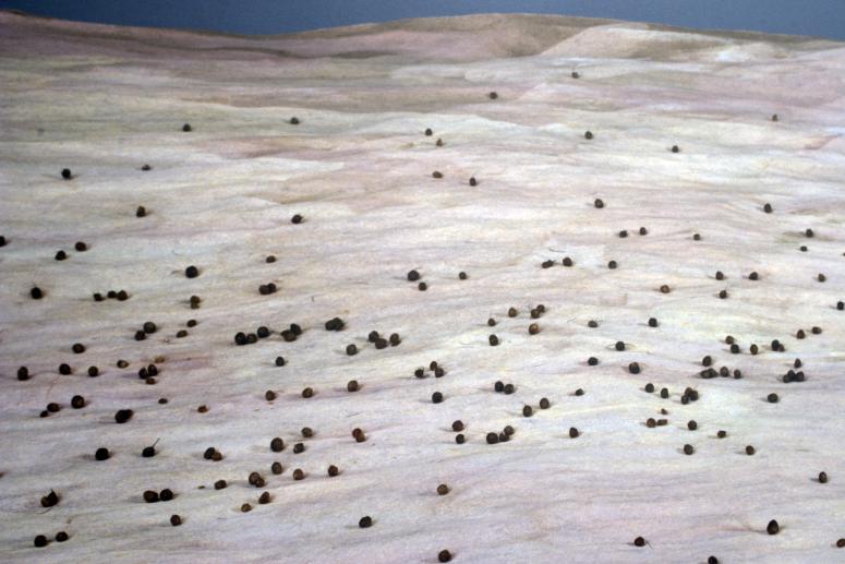 Allan DeSouza, <em>he had a vague sense of an elusive meaning, a light in the distance, a glimmer on the horizon, something he wanted to say if only he had the language for it</em>, 2001