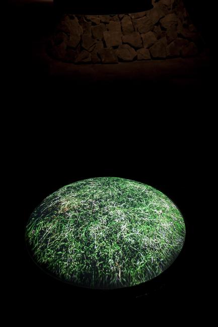 Danny Bracken, <em>What Does It Mean?</em>, 2014