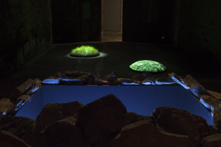 Danny Bracken, <em>Again and Again </em>(2014), <em>What Does It Mean?</em> (2014) and <em>Is Always</em> (2014) 