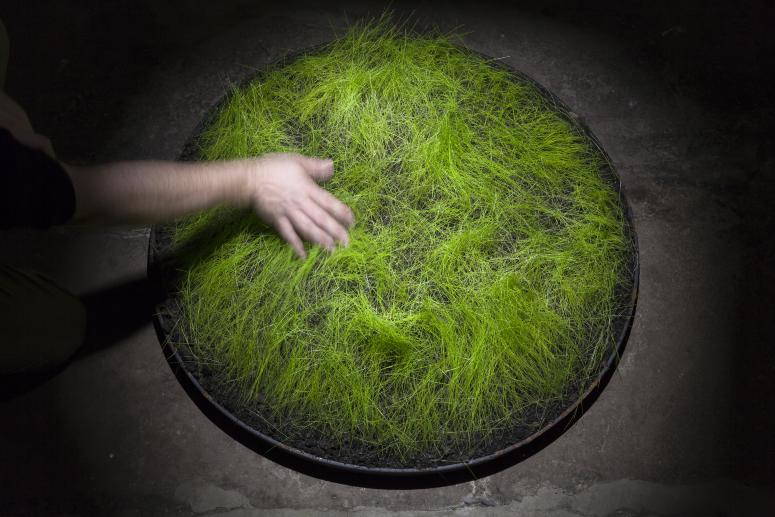 Danny Bracken, <em>Is Always</em>, 2014