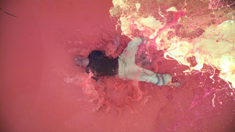 David Ellis, <em>FLY</em>, 2008