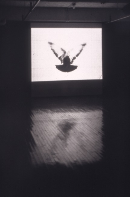 slide IRC.2012.02453 (old number: SMI.K-B001) showing Kiki Smith's installation, Bird from Muybridge, at the Mattress Factory, 1998.