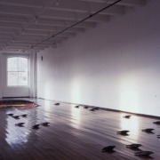 slide IRC.2012.02326 (old number: SMI.K-F001) showing Kiki Smith's installation, Flight Mound, at the Mattress Factory, 1998.