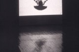 slide IRC.2012.02453 (old number: SMI.K-B001) showing Kiki Smith's installation, Bird from Muybridge, at the Mattress Factory, 1998.