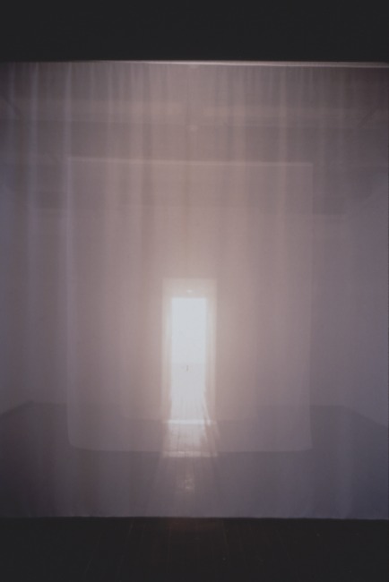 slide IRC.2012.01643 (old number: JEN.D-R006) showing Delanie Jenkins's installation, Root Bound, at the Mattress Factory, 1998.