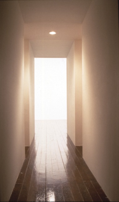 slide IRC.2012.01639 (old number: JEN.D-R002) showing Delanie Jenkins's installation, Root Bound, at the Mattress Factory, 1998.