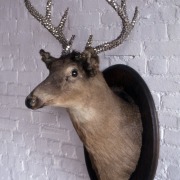 slide IRC.2012.01297 (old number: LAU.O-D001) showing Otis Laubert's installation, Deer, at the Mattress Factory, 1995.