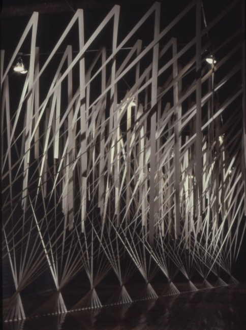 slide IRC.00803 (old number: TAC.A-R014) showing Athena Tacha's installation, Rainforest Diptych, at the Mattress Factory, 1982.