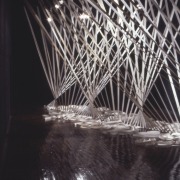 slide IRC.00790 (old number: TAC.A-R001) showing Athena Tacha's installation, Rainforest Diptych, at the Mattress Factory, 1982.