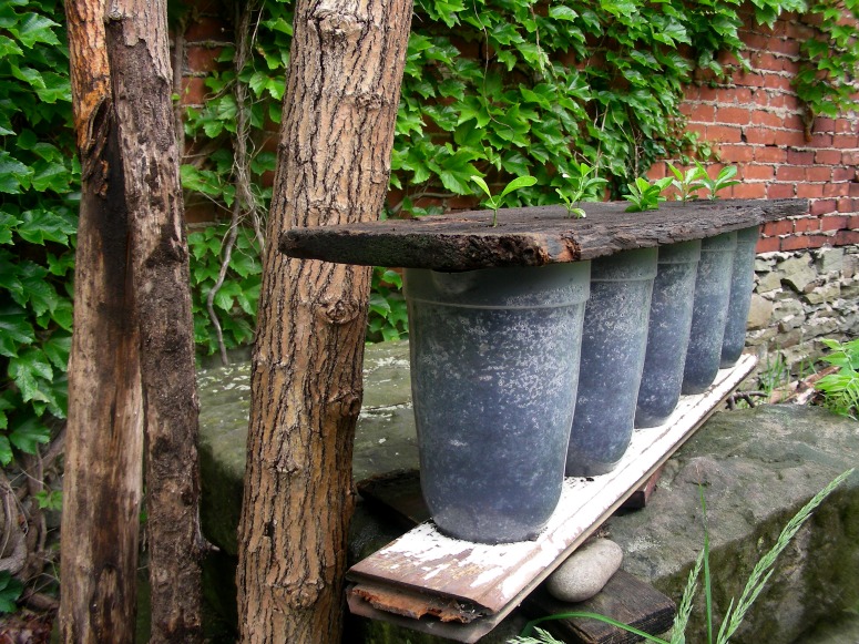 Rose Clancy, <em>GardenLab @510</em>, 2010