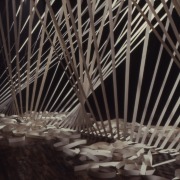 slide IRC.00794 (old number: TAC.A-R005) showing Athena Tacha's installation, Rainforest Diptych, at the Mattress Factory, 1982.