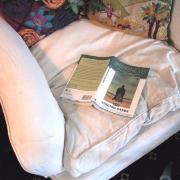 Digital image IRC.2013.01173 showing Kathryn Logan's installation, Ambiloquy, at the Mattress Factory, 2002.